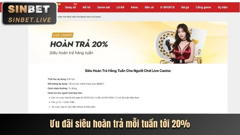 Nền tảng cá cược B